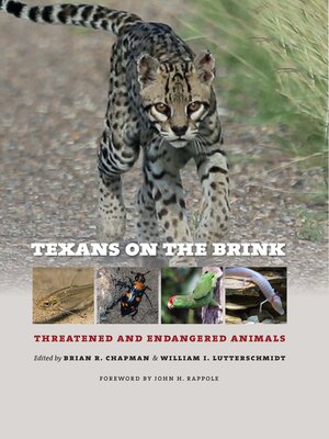 cover image of Texans on the Brink